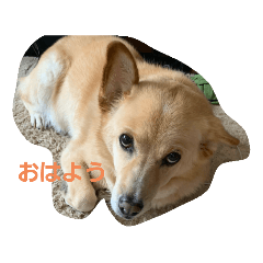 [LINEスタンプ] あいさつしちゃうメルたん
