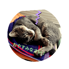 [LINEスタンプ] 二匹の子供たち