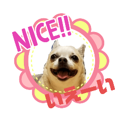 [LINEスタンプ] コロンでございます4