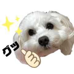 [LINEスタンプ] ピコ感情シリーズ