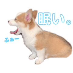 [LINEスタンプ] My name is Hana.#1