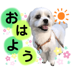 [LINEスタンプ] we♡swan