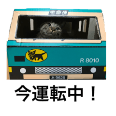 [LINEスタンプ] 猫のルル
