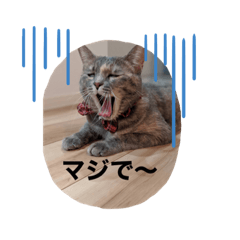 [LINEスタンプ] わんにゃんラムクロ