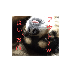 [LINEスタンプ] 俺のクラスター