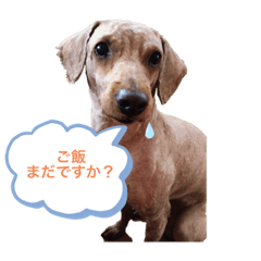 [LINEスタンプ] もんずーのあん