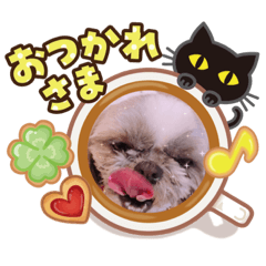 [LINEスタンプ] 我が家のワンちゃん達茶々、寧々スタンプ