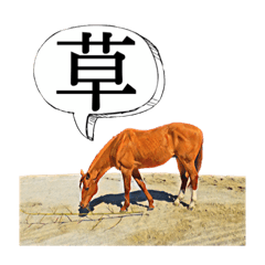 [LINEスタンプ] KINTAN牧場