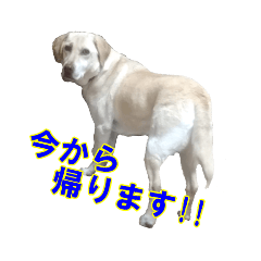 [LINEスタンプ] ひな0236