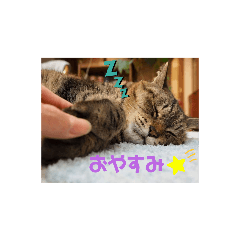 [LINEスタンプ] mimi yuki azuki mona hana
