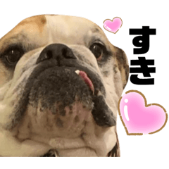 [LINEスタンプ] ルビーちゃんの日常
