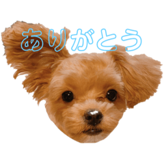[LINEスタンプ] プウととうふ