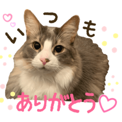 [LINEスタンプ] むぎてんファミリー2