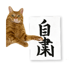 [LINEスタンプ] 貫禄の猫。シンバ第2弾。
