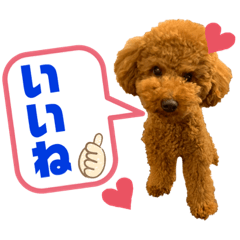 [LINEスタンプ] デカプー茶豆くんのスタンプ②