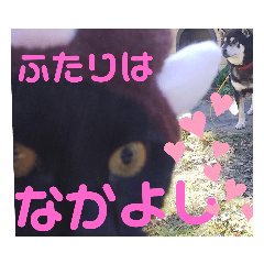 [LINEスタンプ] こてつなスタンプ
