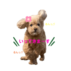 [LINEスタンプ] わんこの日常②