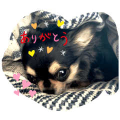 [LINEスタンプ] りんここ♡