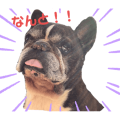 [LINEスタンプ] 歌丸のゆるり日常スタンプ