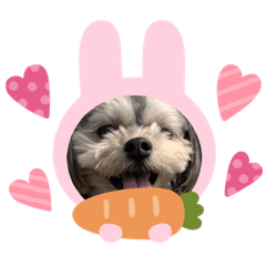 [LINEスタンプ] チワマルあずき②