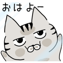 [LINEスタンプ] とらねこのじゃむ