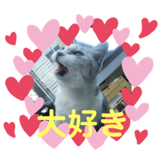 [LINEスタンプ] にゃんこファミリー♡