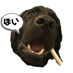 [LINEスタンプ] レク男のスタンプ2