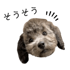 [LINEスタンプ] 山田桃太郎