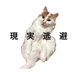 [LINEスタンプ] うちの猫でよろしければ2