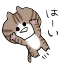 [LINEスタンプ] ネコチャンスタンプ 路太作