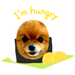 [LINEスタンプ] 子熊のぽぽぽでちゅ！