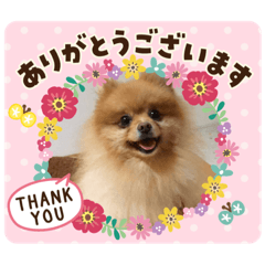 [LINEスタンプ] さくらちゃん04