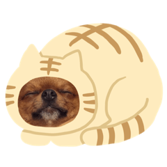 [LINEスタンプ] いとしのこてつん