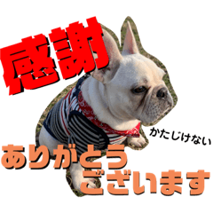 [LINEスタンプ] 八朔スタンプ20200501