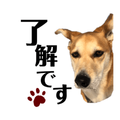 [LINEスタンプ] みゑの家族