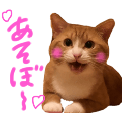 [LINEスタンプ] 世界1可愛いスタンプ♡