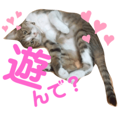 [LINEスタンプ] チャチャスタ☆