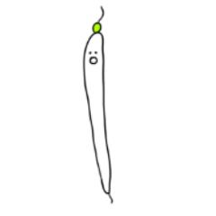 [LINEスタンプ] もやしの精