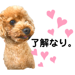 [LINEスタンプ] うちのげんたん
