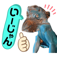 [LINEスタンプ] 可愛い爬虫類family
