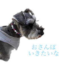 [LINEスタンプ] ういゆずみあちゃんねる