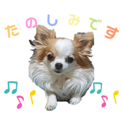 [LINEスタンプ] らむかいれいスタンプ2