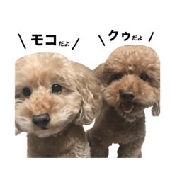 [LINEスタンプ] モコとクゥだよ