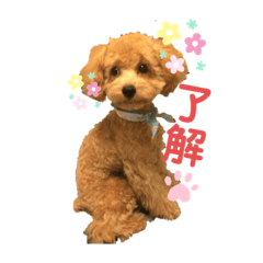 [LINEスタンプ] 名犬ププ
