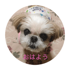 [LINEスタンプ] 大事なベル