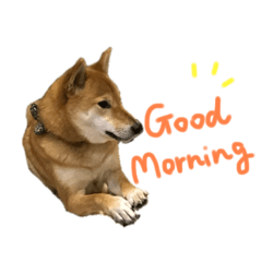 [LINEスタンプ] ゴンゴン1