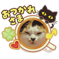 [LINEスタンプ] おねこ様スタンプ1