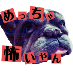 [LINEスタンプ] 歌丸のくせ強め今治弁スタンプ