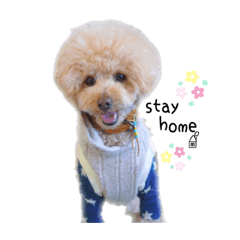 [LINEスタンプ] stay home latte