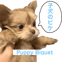 [LINEスタンプ] 子犬のビケ